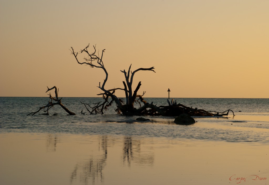 Ánh chiề ta, Key Largo