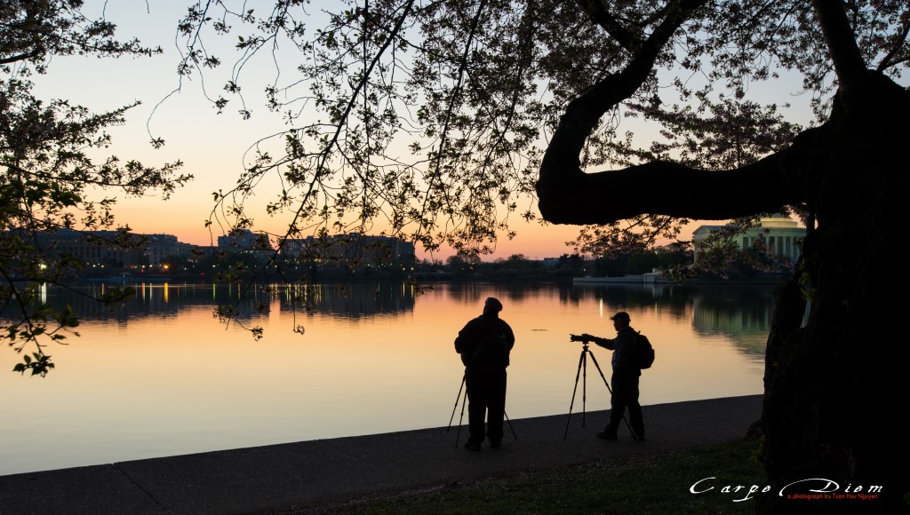 Photographer, Washington DC