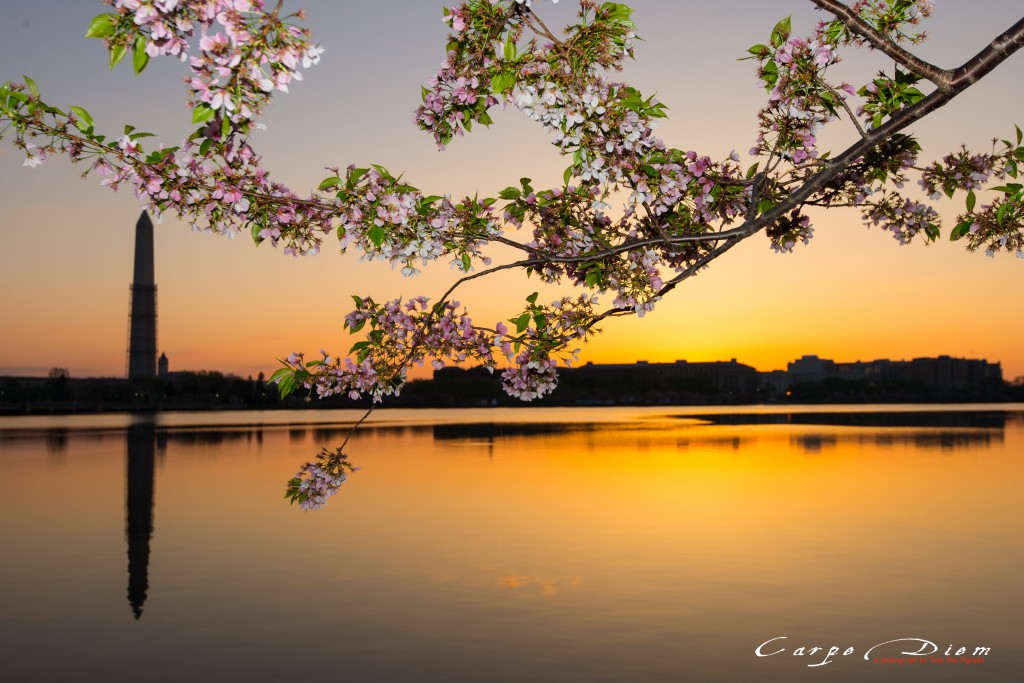 Nắng bình minh rơi trên hồ Tidal Basin, Washington DC