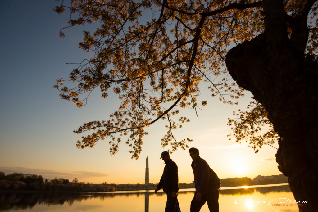 Nắng bình minh rơi trên hồ Tidal Basin, Washington DC