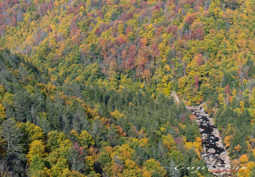 Con sông nhỏ, Blackwater Fall State Park, WV