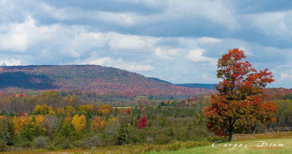 Canaan Valley State Park, WV