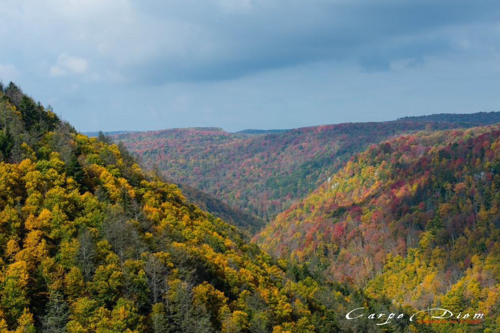 Mùa Thu, Blackwater Falls State Park, WV