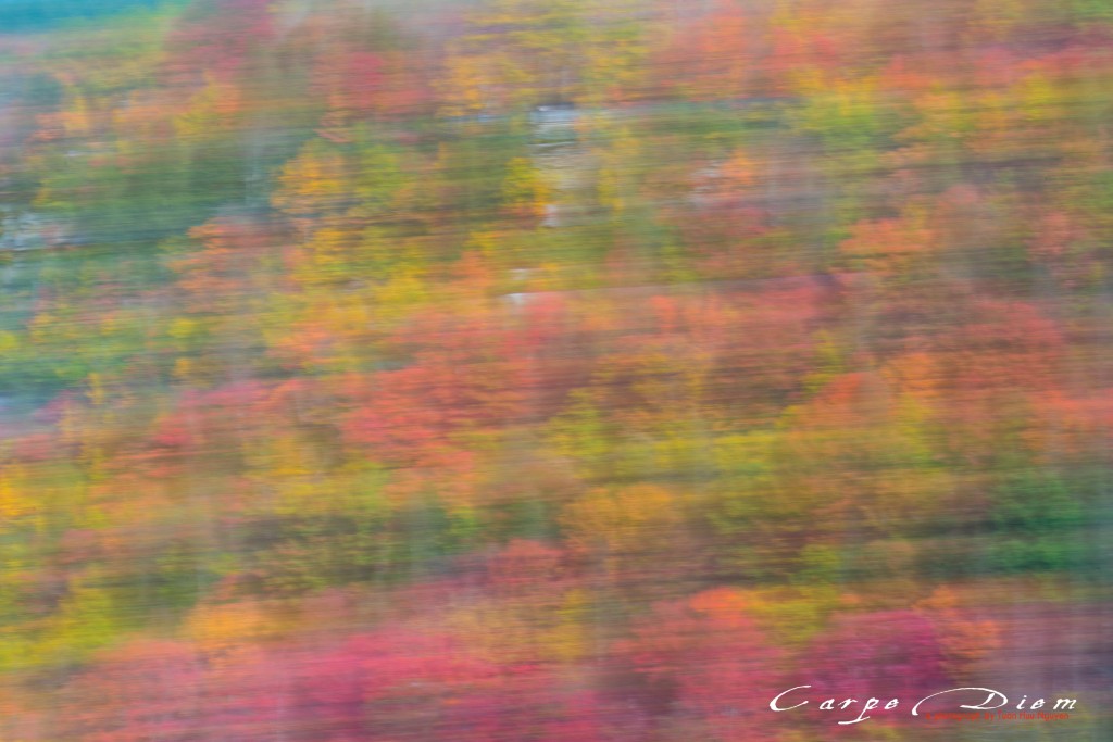 Autumn Impressionalism, Blackwater, Blackwater Falls State Park, WV