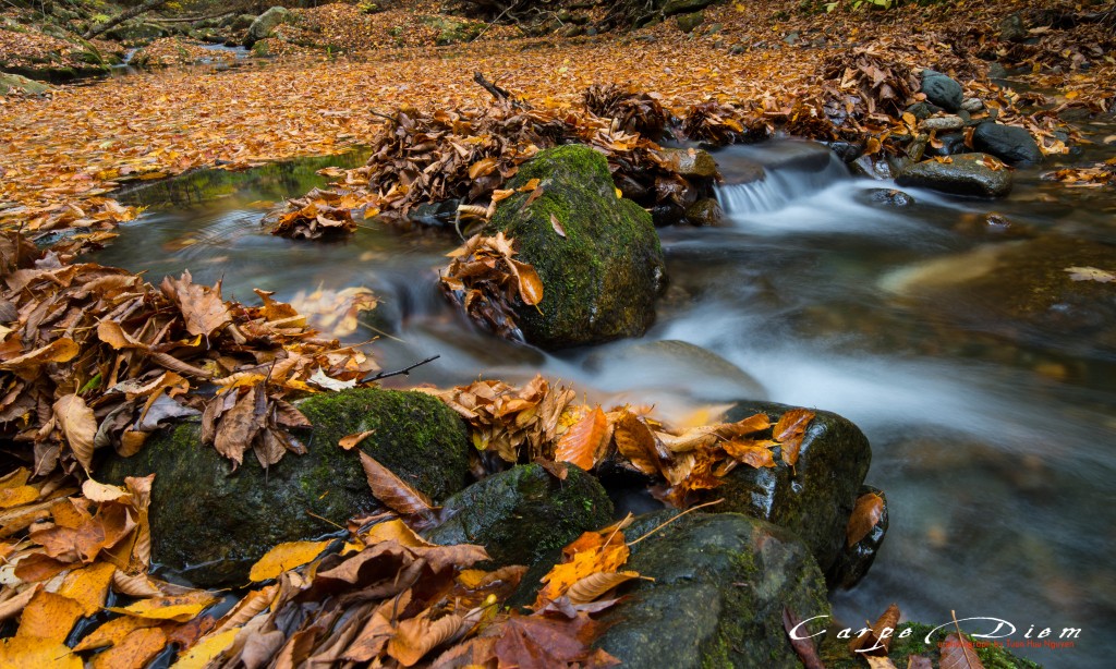 Lá trôi theo dòng nước, Sanderson Brook Falls, MA