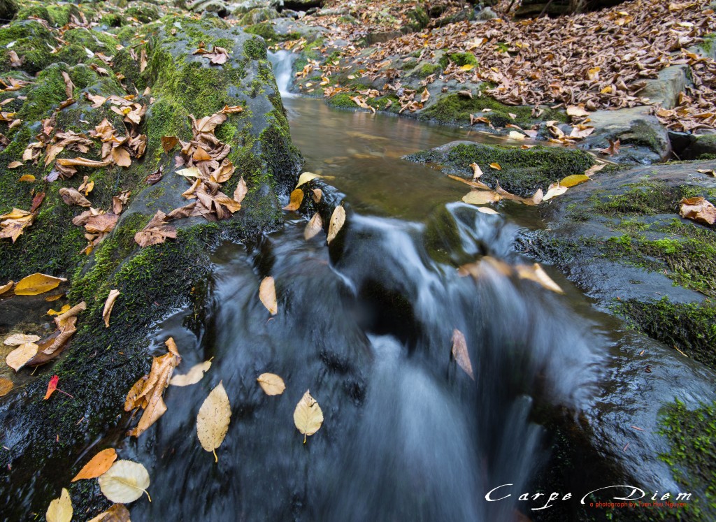 Lá trôi theo dòng nước, Sanderson Brook Falls, MA