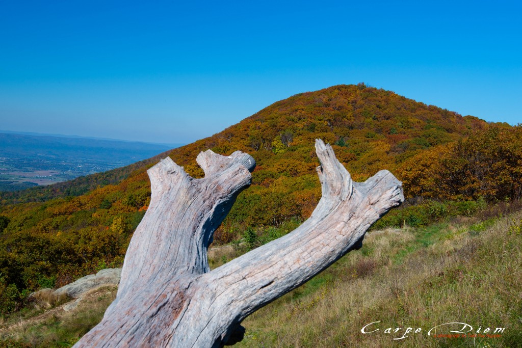 Skyline Drive, Virginia, USA