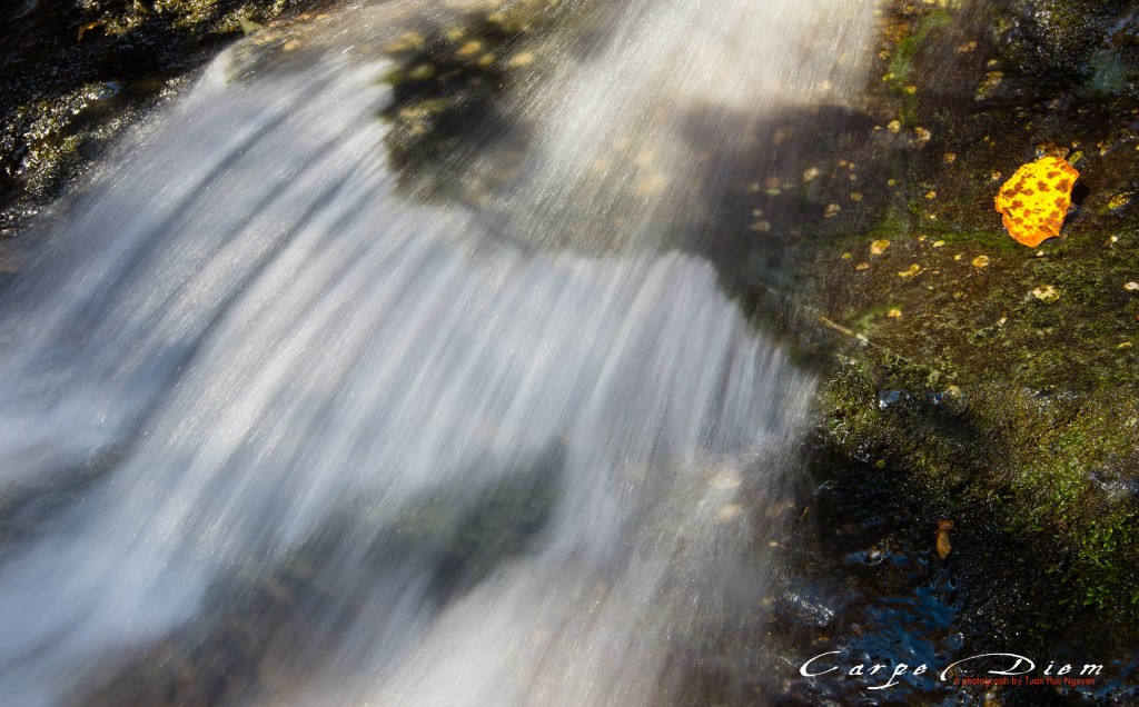 Dark Hollow Falls, Skyline Drive, Virginia, USA