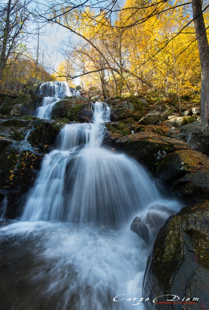 Dark Hollow Falls, Skyline Drive, Virginia, USA