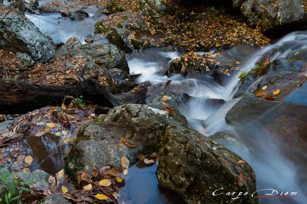 Dark Hollow Falls, Skyline Drive, Virginia, USA