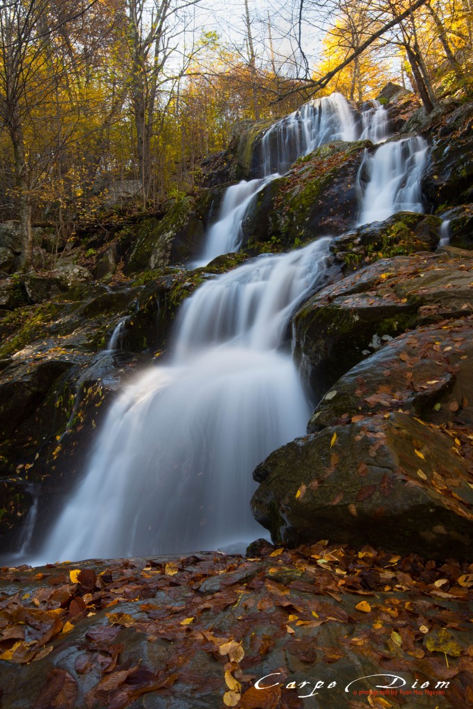 Dark Hollow Falls, Skyline Drive, Virginia, USA