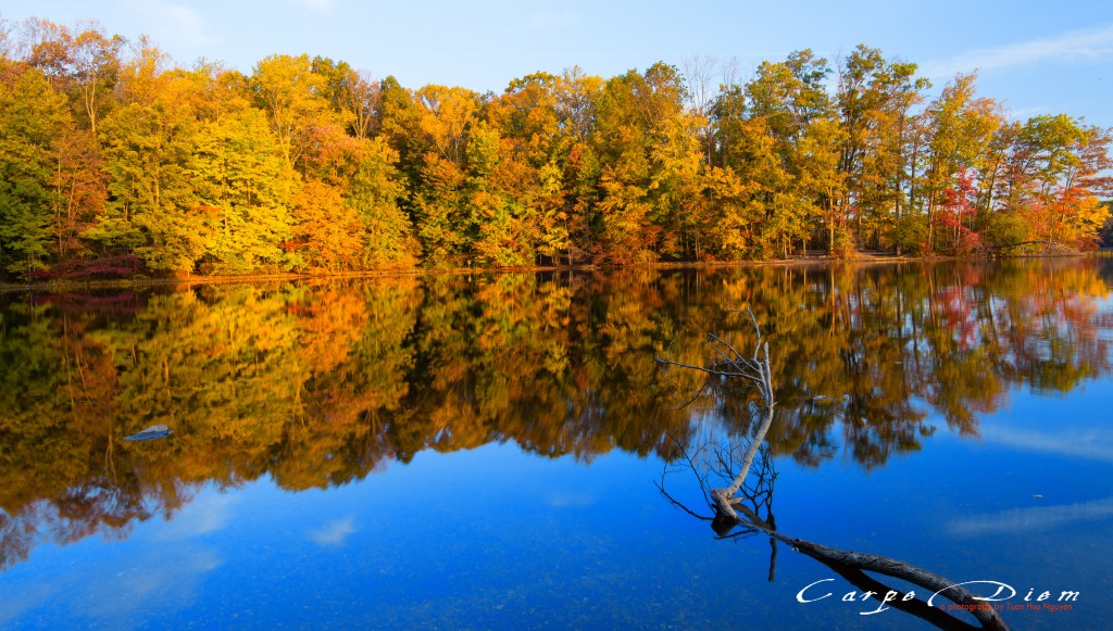 Sớm mai mùa Thu, Burke Lake, Burke, Virginia