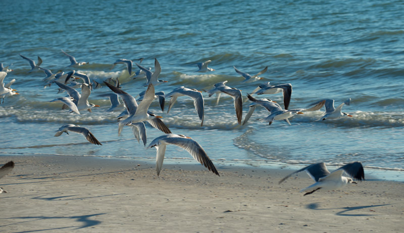 Fort Meyers, Florida