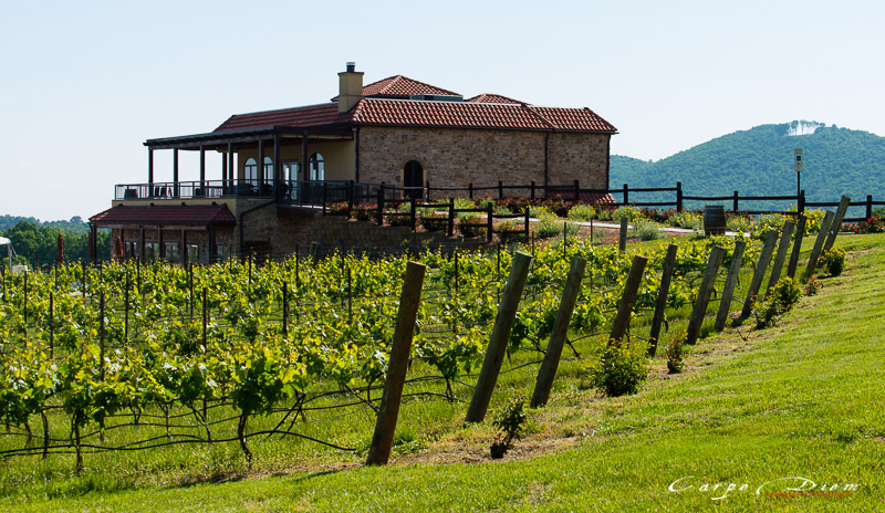 Raffaldini Vineyard