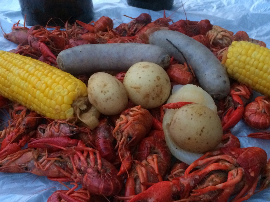 crawfish