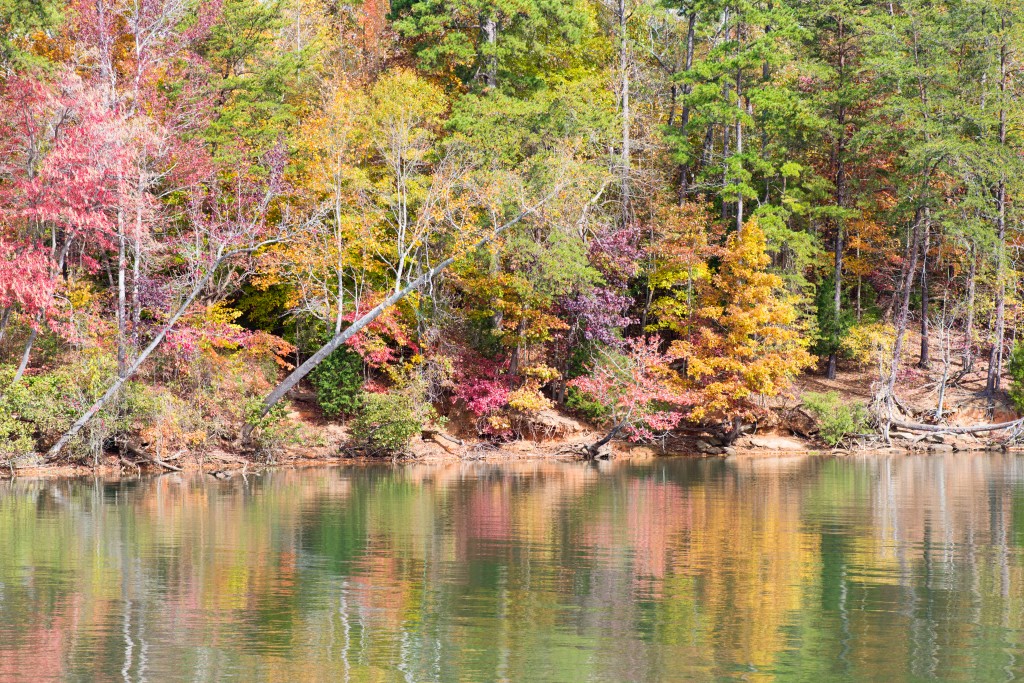 Mùa Thu ở Lake Wylie