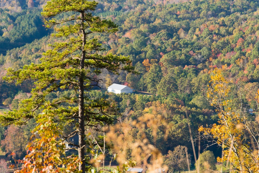 Ngôi nhà trắng, Morrow Park, NC