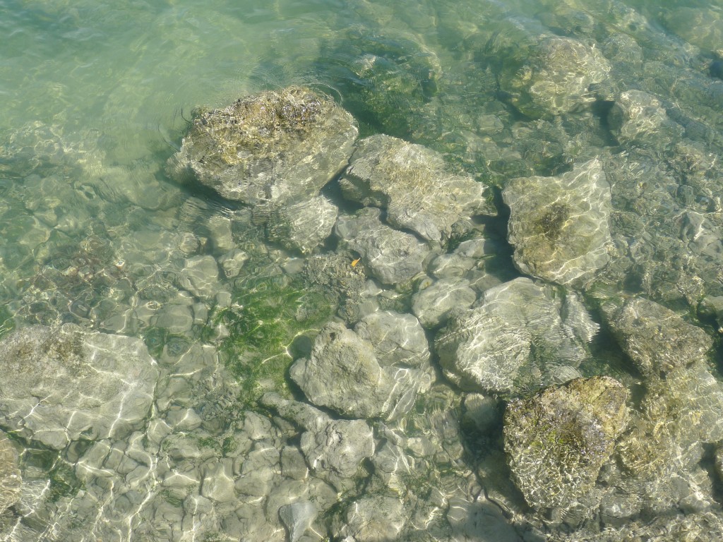 clear water