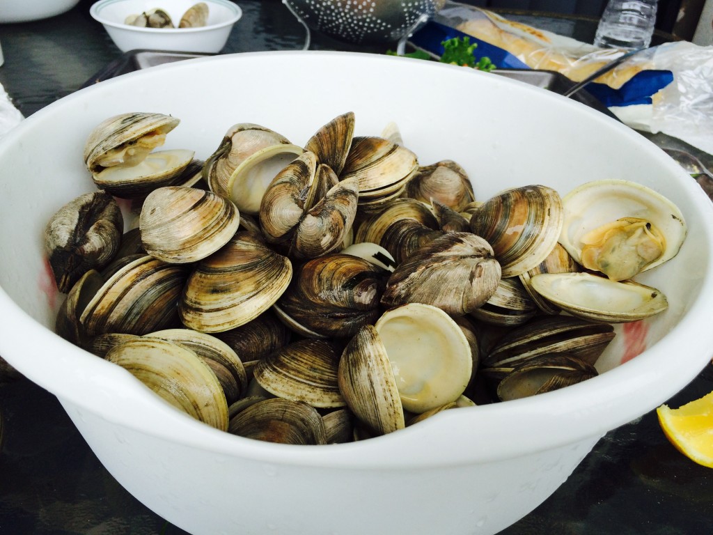 Steam clams, Carolina Beach