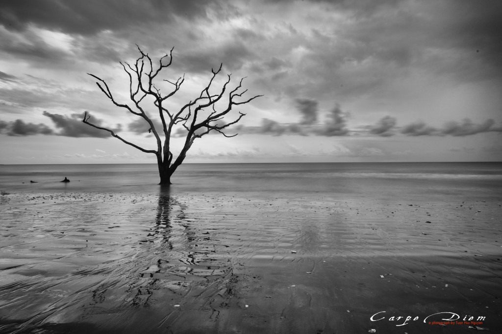 Boneyard Beach, Charleston