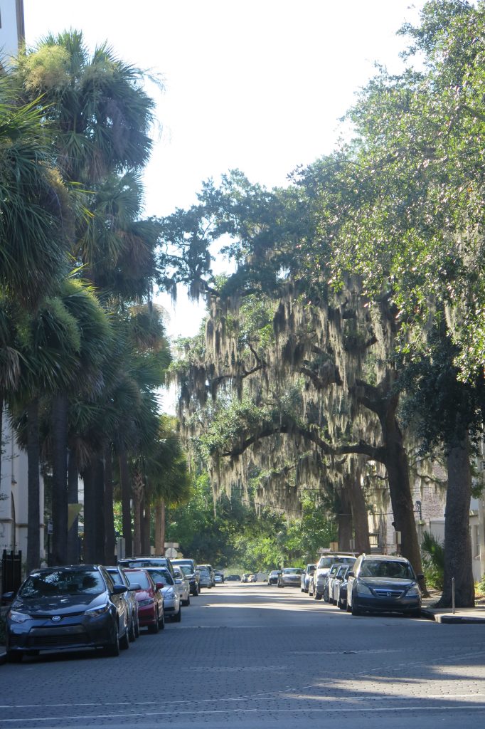 phố Savannah với cây xanh và Moss