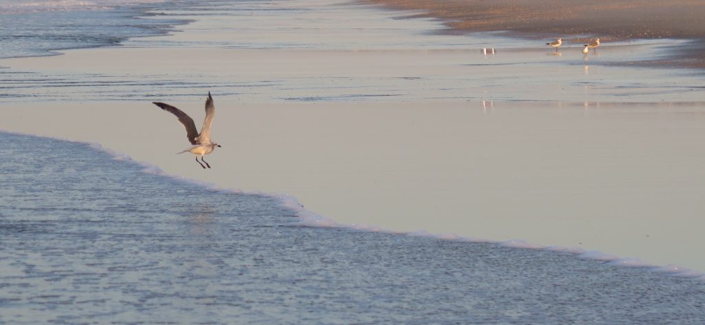 Holden Beach, NC