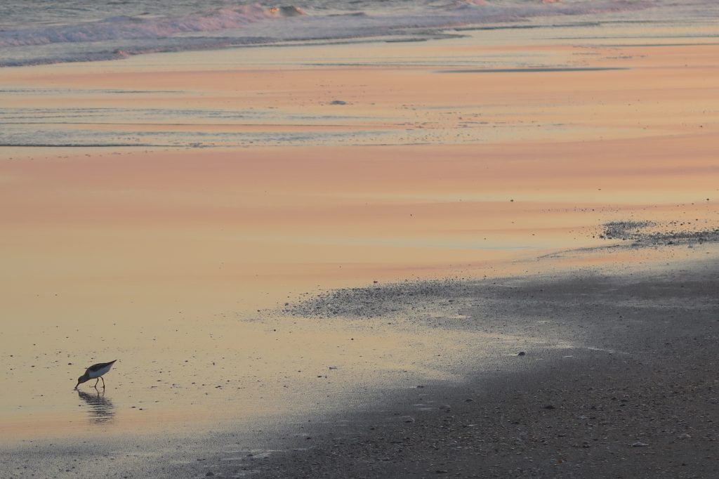 Holden Beach, NC