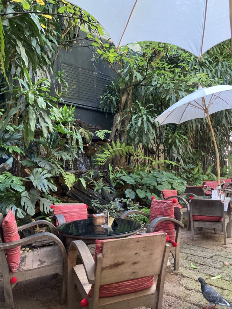 Fern Forest Cafe, Chiang Mai