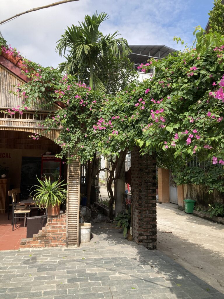 Tam Cốc Tropical Homestay, Ninh Bình