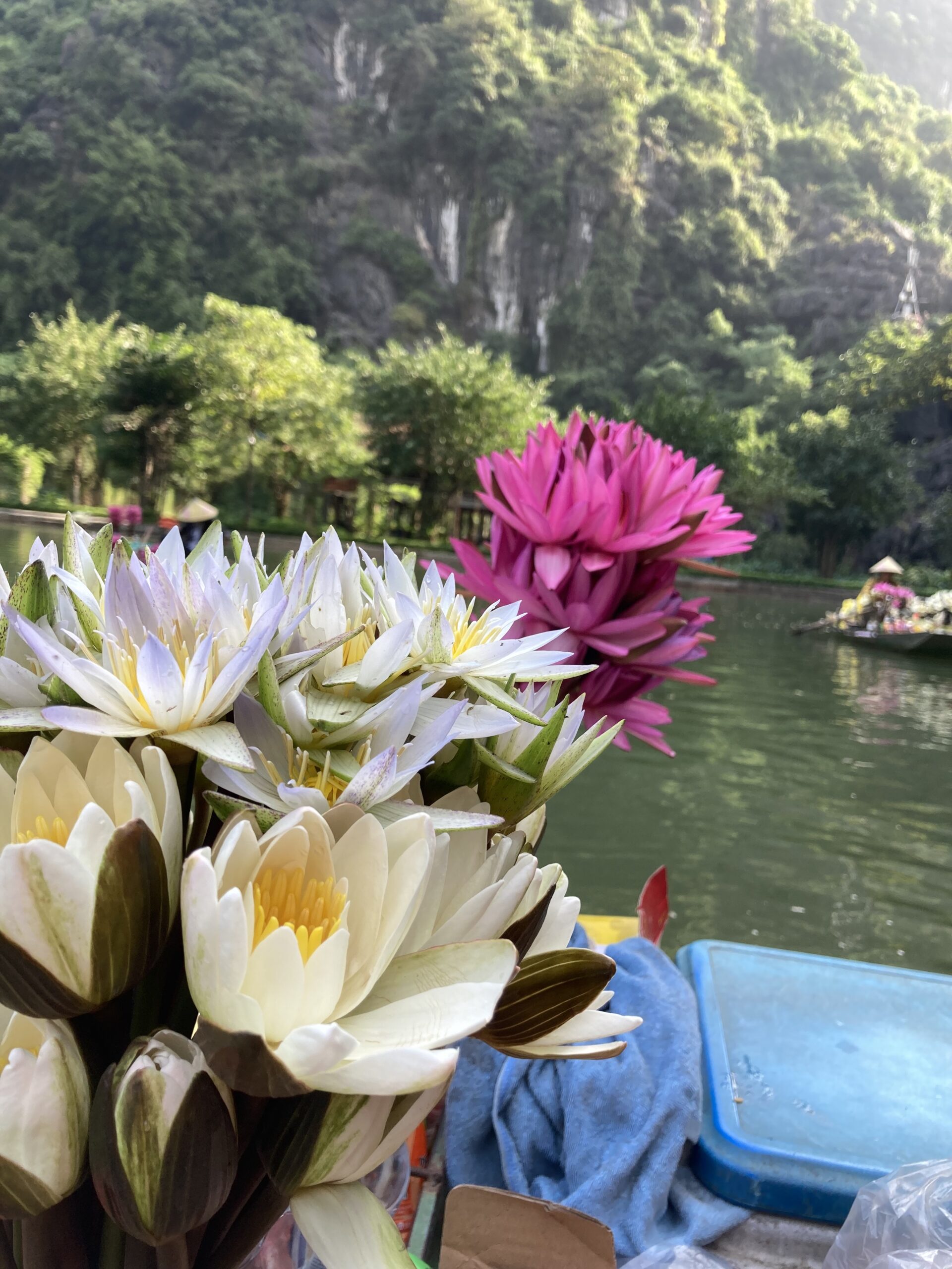 Tam Cốc, Ninh Bình