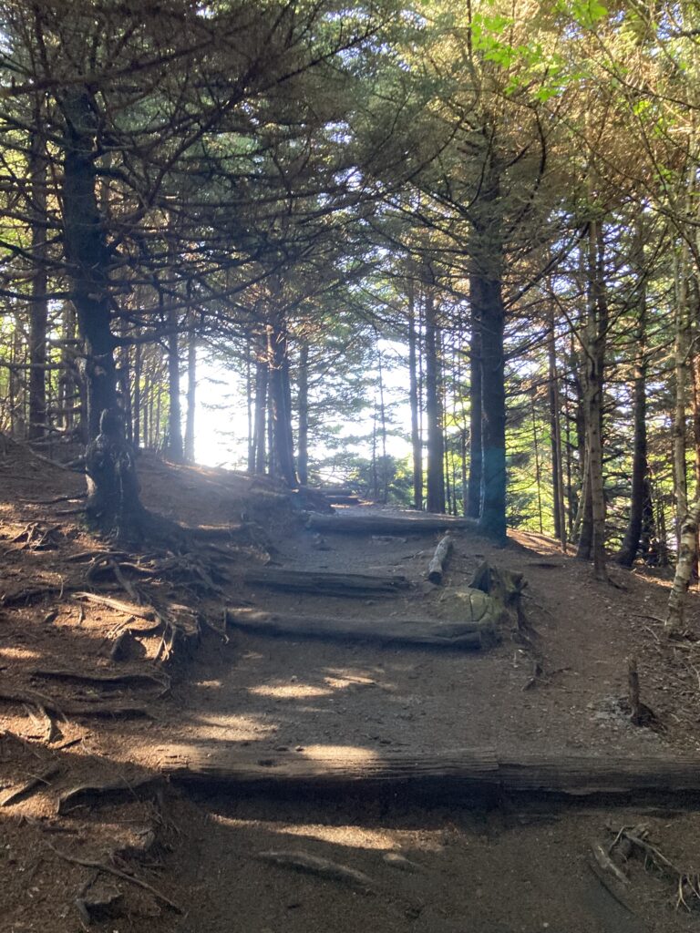 Carver's Gap, Roan Mountain