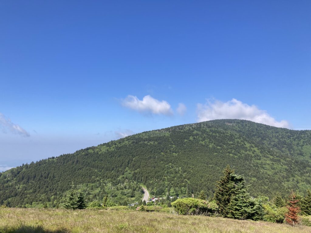 Carver's Gap, Roan Mountain