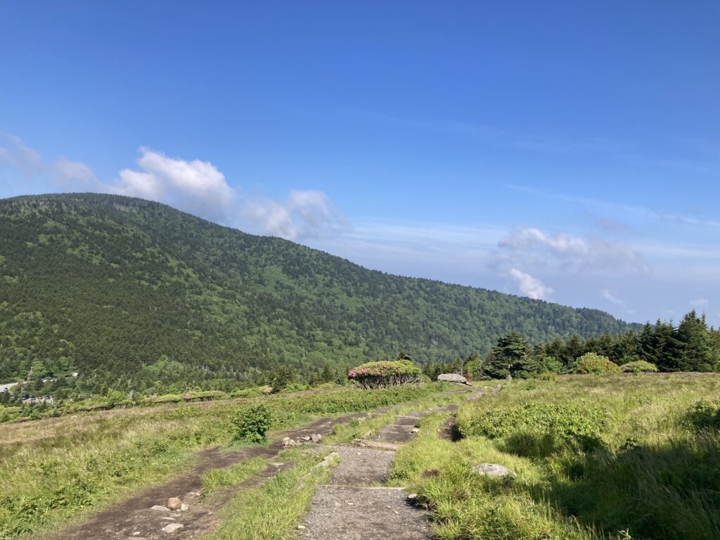 Carver's Gap, Roan Mountain