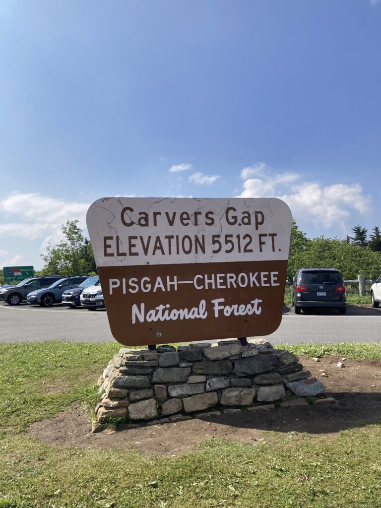 Carver's Gap, Roan Mountain