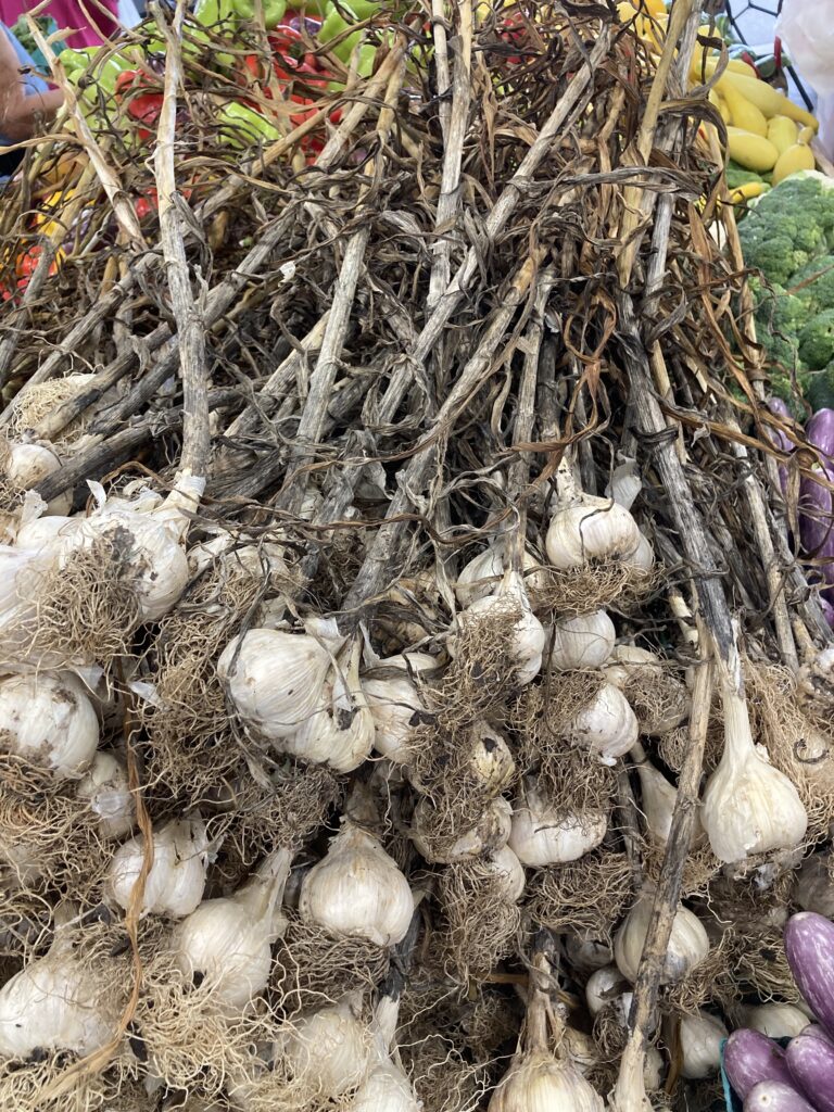 Farmers Market, Charlotte, NC