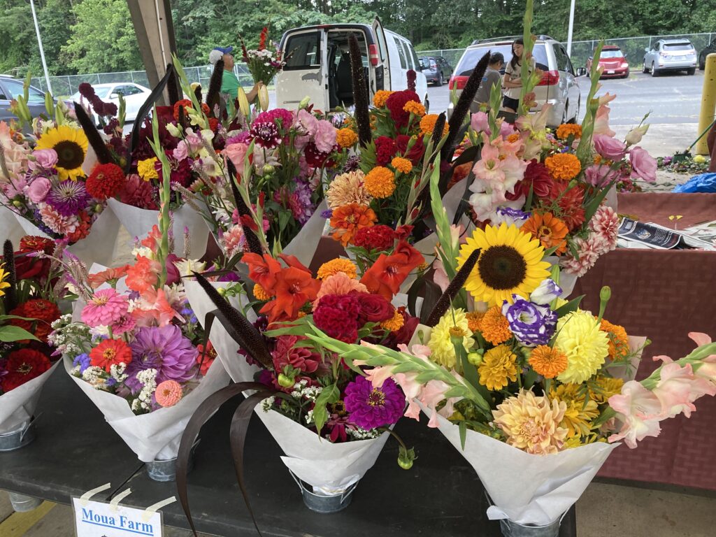 Farmers Market, Charlotte, NC