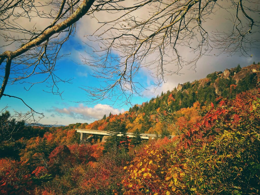 Mùa Thu trên đỉnh núi, Blue Ridge Parkway, NC