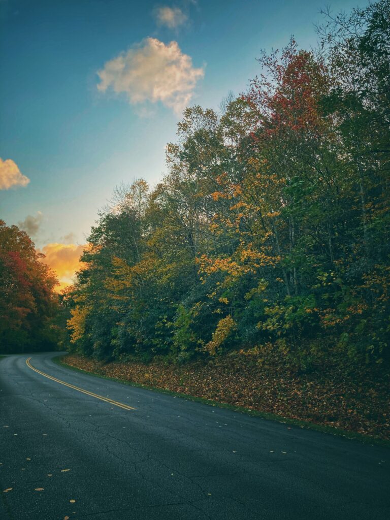 Mùa Thu trên đỉnh núi, Blue Ridge Parkway, NC