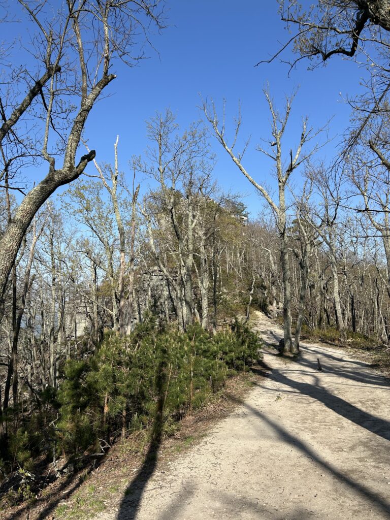 Pilot Mountain State Park