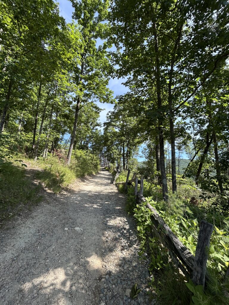 Stone Mountain State Park